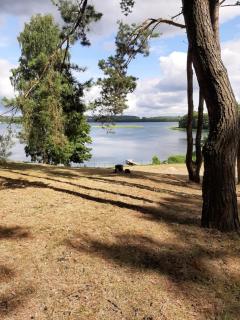 Pensjon Paradise - Olsztyn - 8