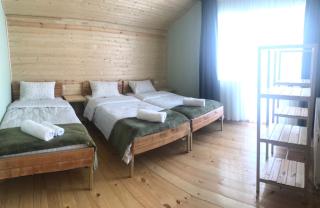 Cozy Place in Kazbegi - 2