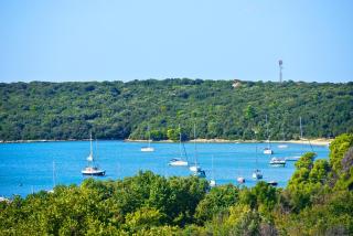 Apartment Villa Mare1 with pool, sea view and hydromassage - Banjole - 1