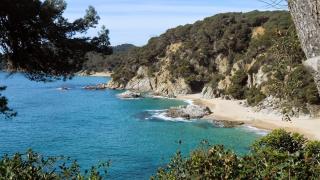 AL15 - Apartamento 1 para familias a 300 m playa Fenals - Lloret de Mar - 0