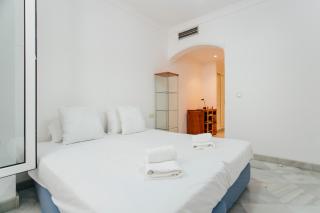 Cozy and bright- 1Bd 1Bth - La Alfalfa - Siviglia - 5