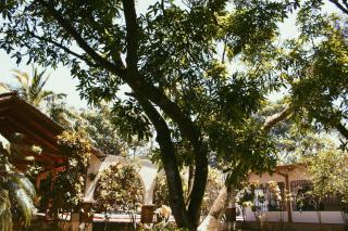 Hacienda Escondida 10min to Airport - 5