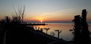 Camping Belvedere - Lazise - 6