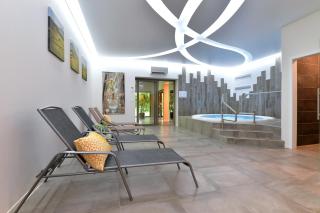 L'éclos des vignes - Appartements haut de gamme avec Spa - Bergheim - 0
