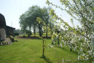 La mare aux grenouilles - Bruailles - 4