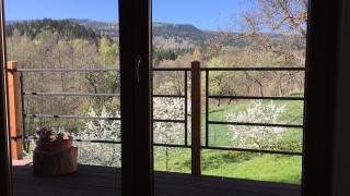 Agroturystyka Ostoja - 2