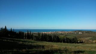 Roberta appartamenti "Le Muratelle" - San Vincenzo - 6