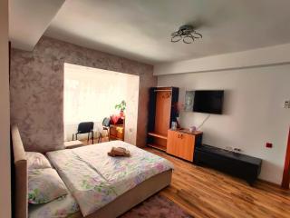 Ultracentral Cathedral Apartament Timisoara - Timişoara - 1
