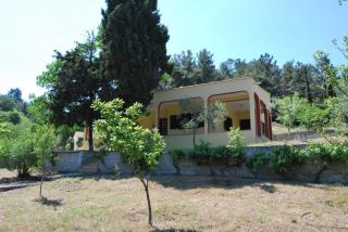 Ktima Garidis - Kavala - 6