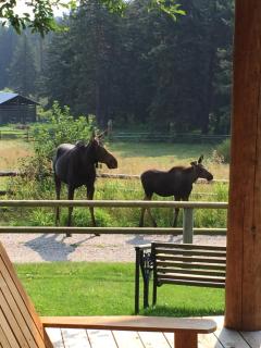 Trail Creek Ranch - 7