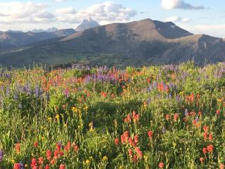 Trail Creek Ranch - 6