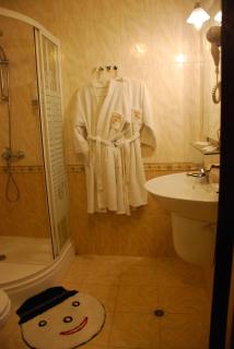 Elegant Lux Hotel - 9