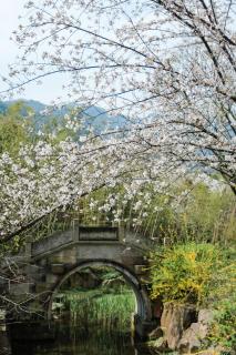 Pusen Lanting Shaoxing - Shaoxing - 6