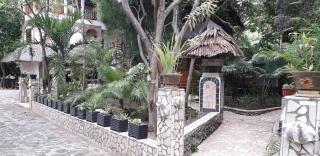 Mangga Lodge - 5