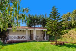 Pine View Stay Ooty - Ooty - 6
