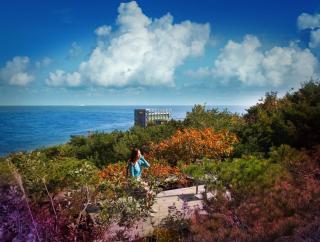 Haslla Art World Museum Hotel - Gangneung - 7