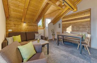 Appart-Hotel Wildererstuben - Bodenmais - 9