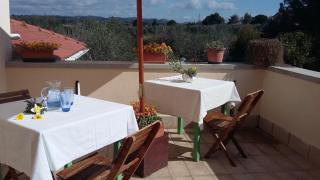 Campo alle More - Cecina - 4