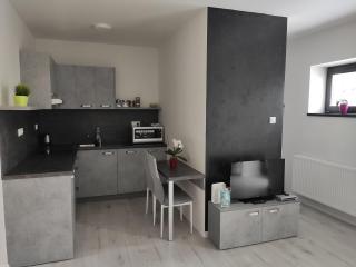 Apartman Kuzmanyho Žilina centrum - Žilina - 8