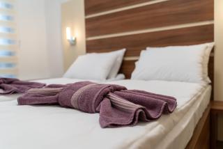 Apartman S9 Vila Pekovic Green - 3