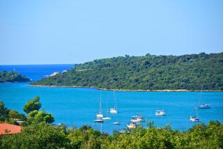 Apartment Villa Mare2 with pool, sea view and hydromassage - Banjole - 1