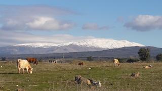 Nuriel Fruit & Guest House - 3