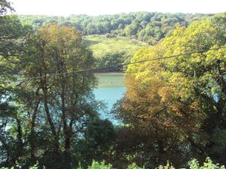 Woodlands - Looe - 4