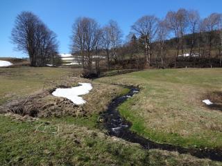 Ferienwohnung Eisele - 4