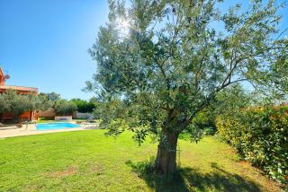 Apartment Villa Mare3 with pool, sea view and hydromassage - Banjole - 5