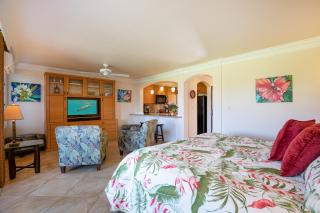 Beach Front King Bed Ocean View Studio in Wailea Ekahi - Wailea - 8