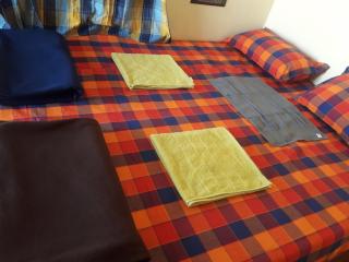Royal Homestay New Hampi - Hampi - 3