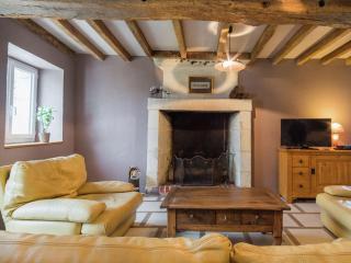 Farmhouse in Bruères near Chinon Vineyards - Chaveignes - 1