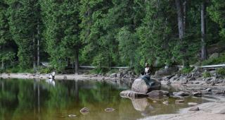 Apartment Rose Sasbachwalden - 4