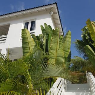 B2 APARTMENT with Balcony at JAN THIEL Curacao - Jan Thiel - 5