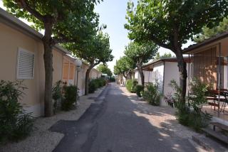 Camping Johnny - Marina Palmense - 3