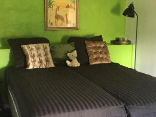 Domaine du Cammazet - Lapenne - 2