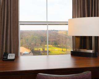 Hyatt Regency Long Island - 9