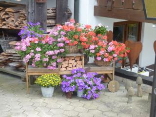 Ferienwohnung Hartmann - Obermaiselstein - 5