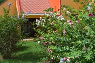 RESIDENCE MON REFUGE - Grande Anse - 6