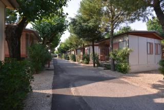 Camping Johnny - Marina Palmense - 9