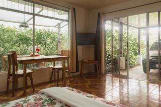 Santuario de Ranas - Explora nuestro paraíso natural - 3