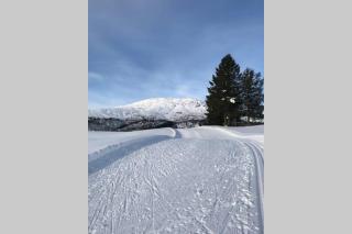 Panoramaresort in Hardangerfjord with boat and sauna to rent - Seaside Studio for 2 personer - 6