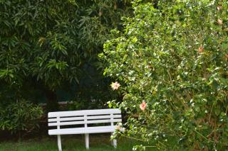 RESIDENCE MON REFUGE - Grande Anse - 0