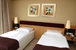 Fagus Hotel Conference & Spa - 4