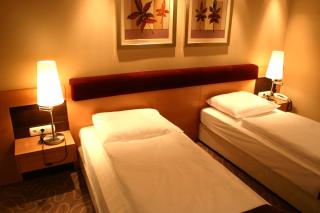 Fagus Hotel Conference & Spa - Sopron - 2