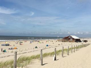 Chalet Casa Quak - Petten - 6