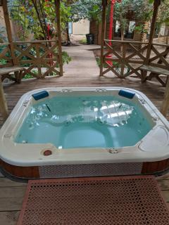 Atrium Inn - Fort Stockton - 1