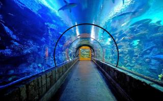 Mandalay Bay Resort and Casino by Suiteness - Las Vegas - 3