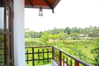 Mango Shade - Dickwella - 5