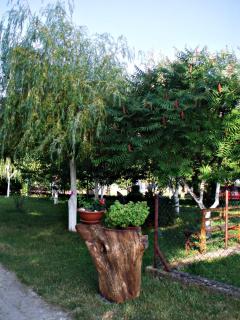 Studio Ivona - Rakovica - 2
